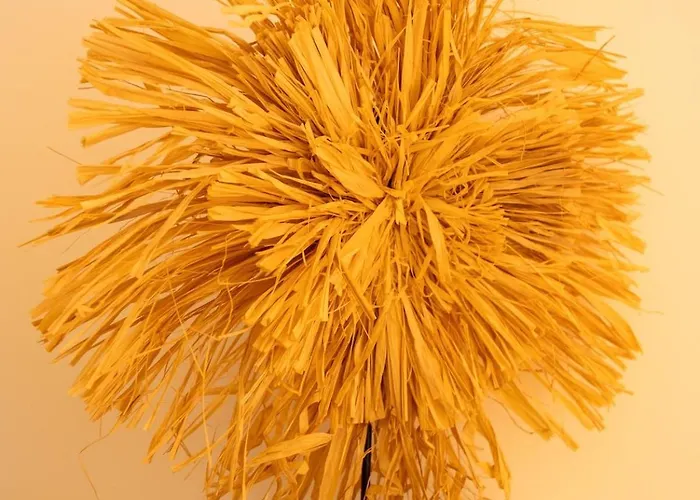 La Coquette - Charmante Maison De Vakantiehuis *